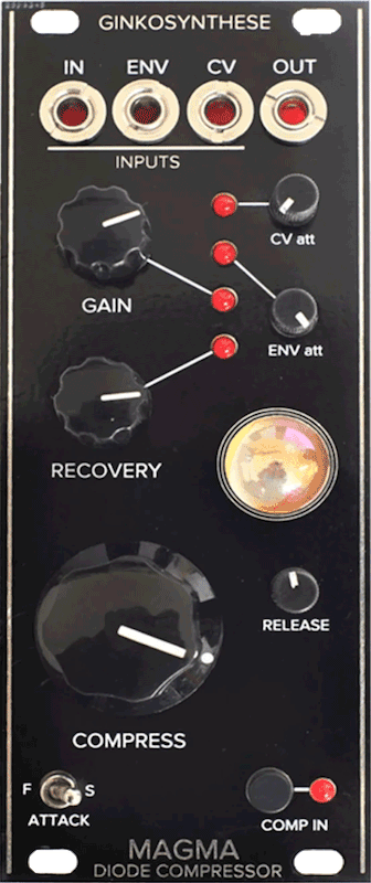 Ginko Synthese - Magma