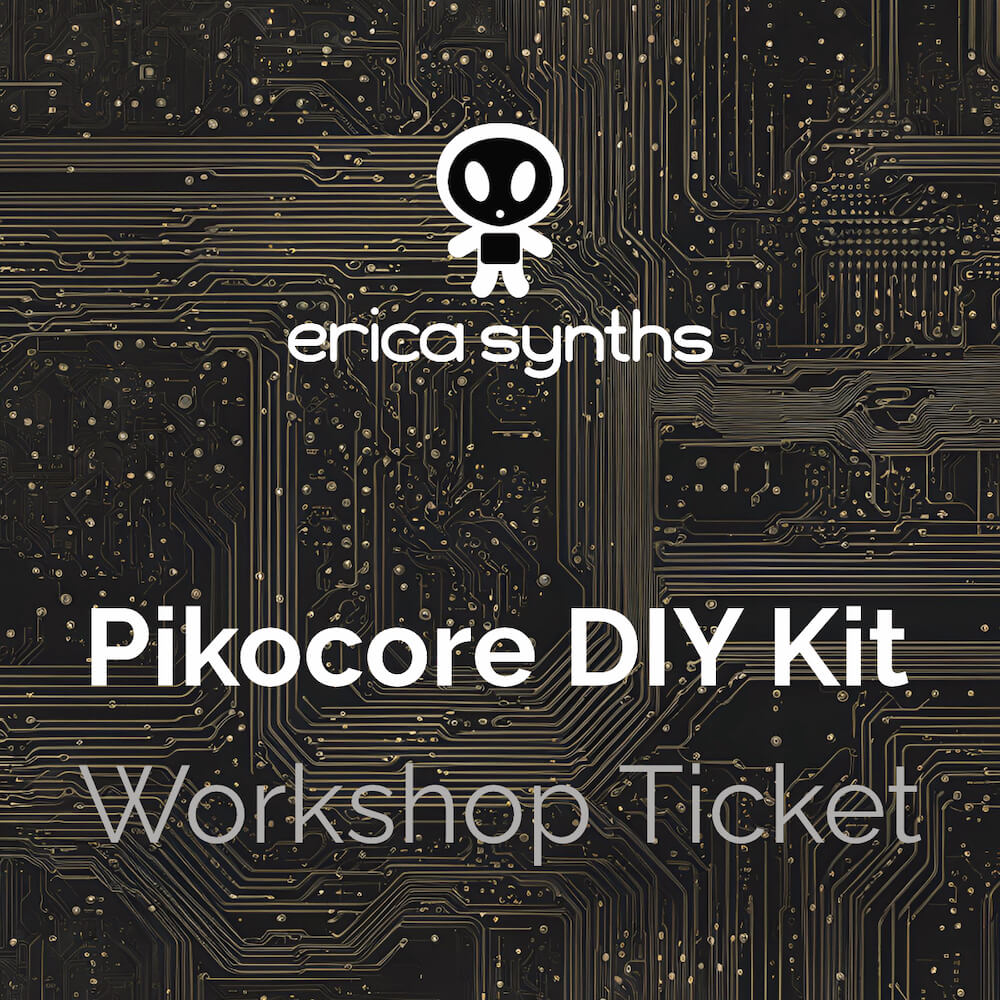 DIY Meetup 2024 - Erica Pikocore