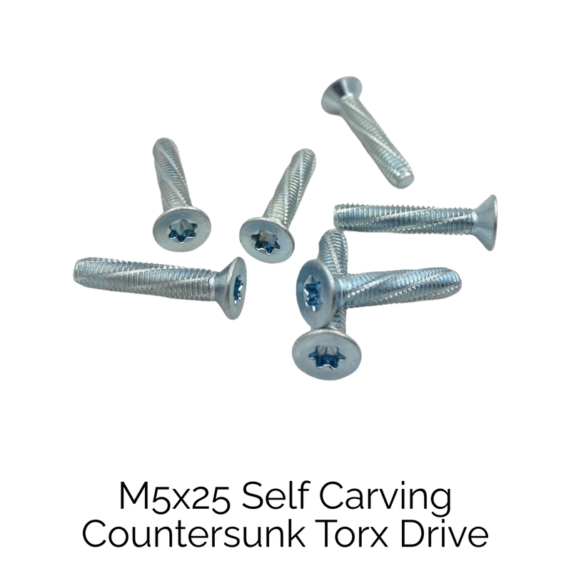 Screw M5 25mm length, Self Carving Countersunk, Torx Drive