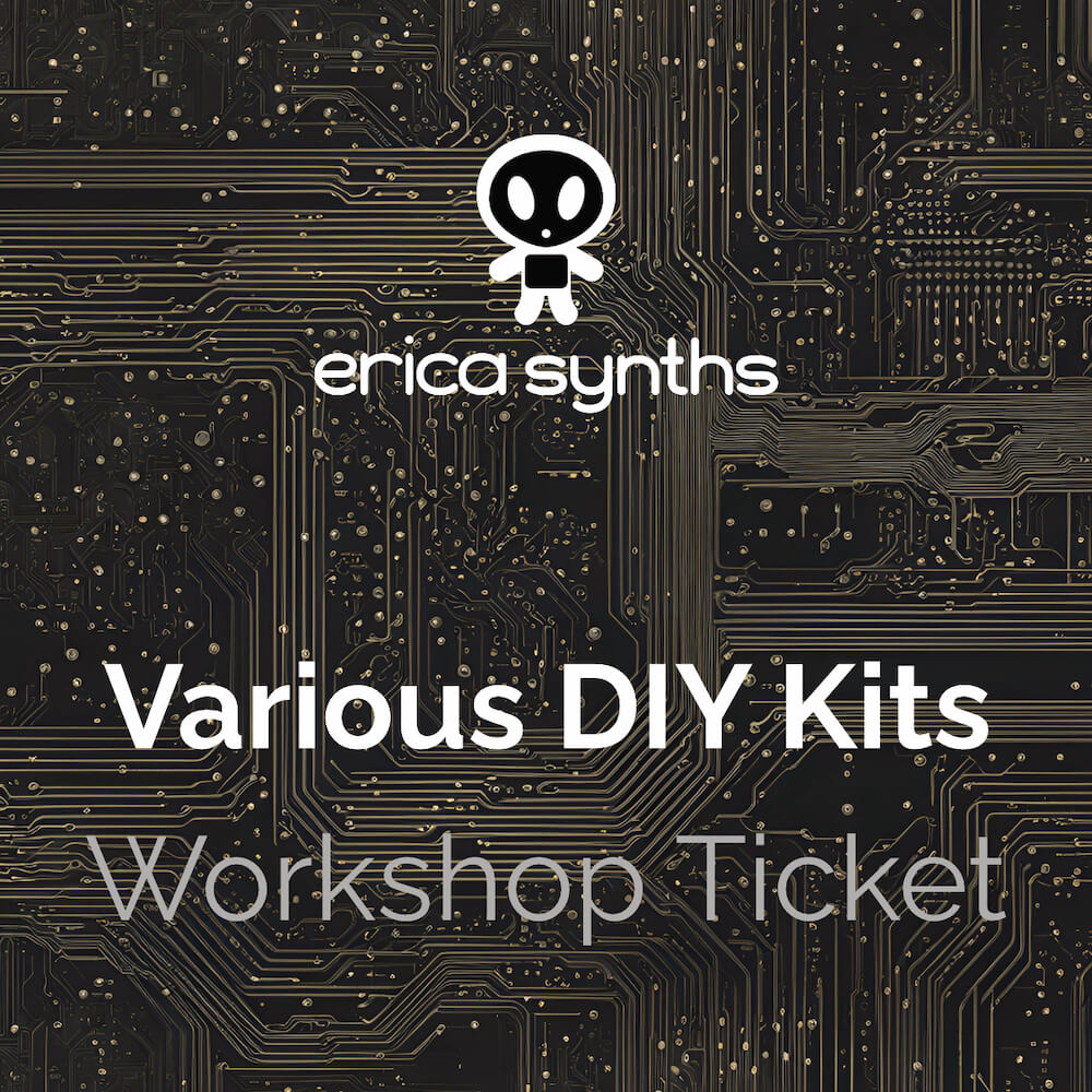 DIY Meetup 2024 - Erica Various Kits