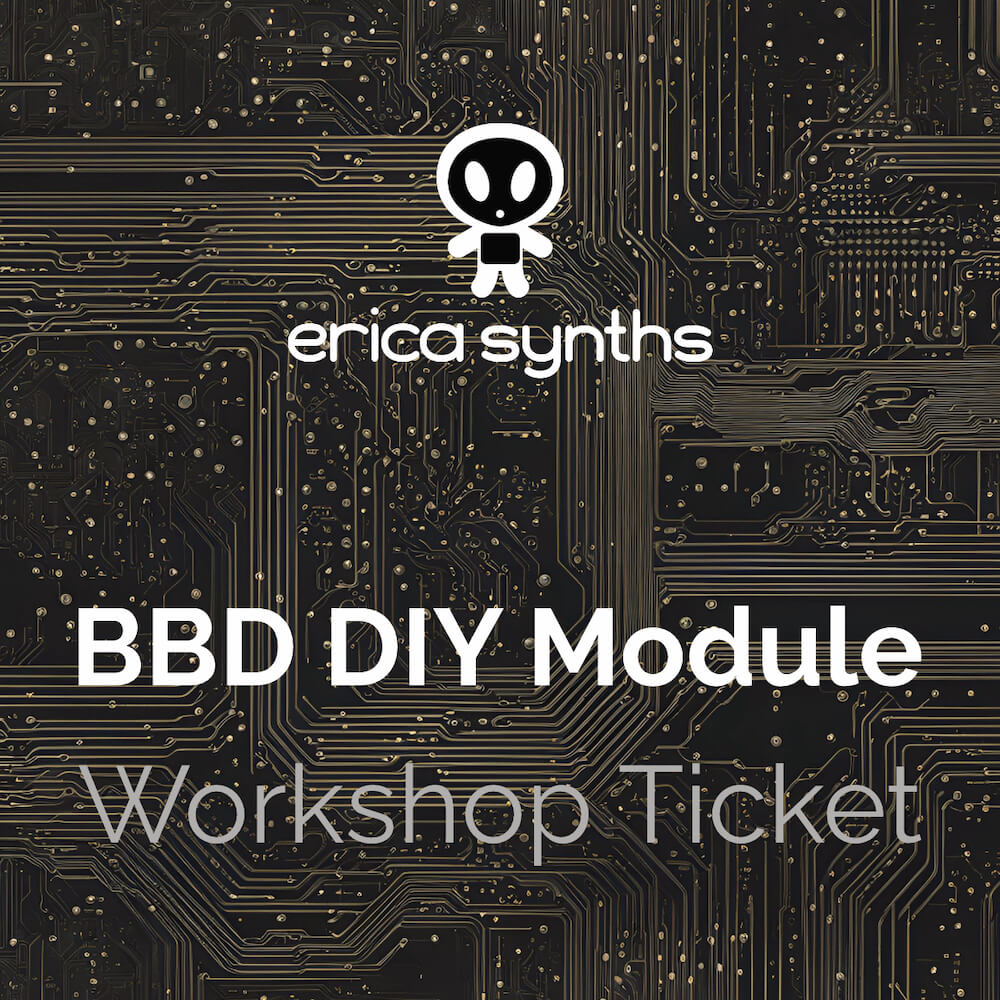 DIY Meetup 2024 - Erica BBD